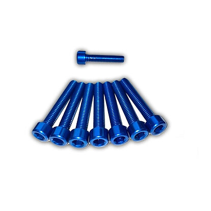 Anodized hexagon socket screws