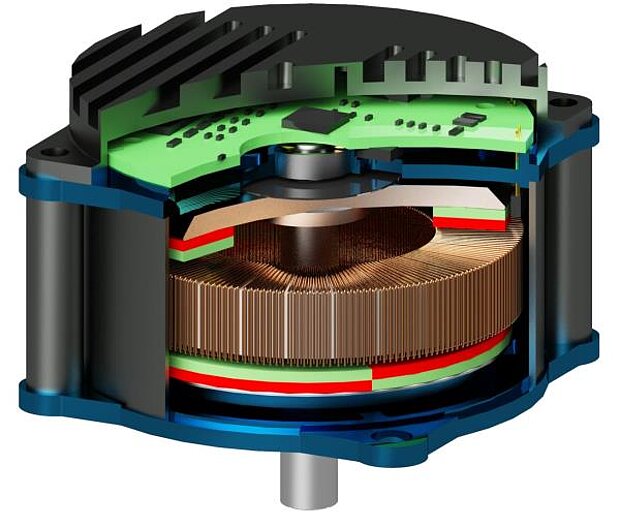 High-Torque BLDC-Motor | Schnitt